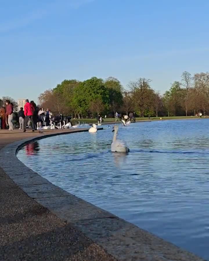 Hyde Park